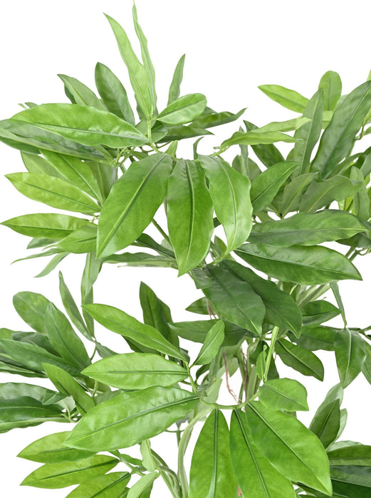 Pianta Artificiale Filodendro Goeldii 150Cm