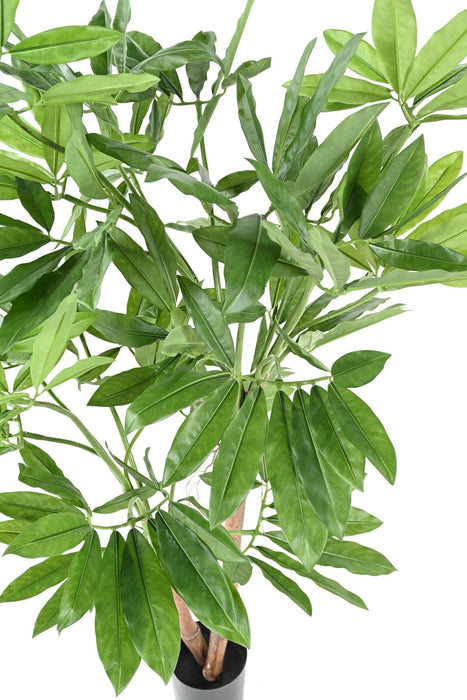 Pianta Artificiale Filodendro Goeldii 150Cm