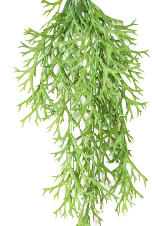 Pianta Artificiale Platycerium 80 Cm Verde