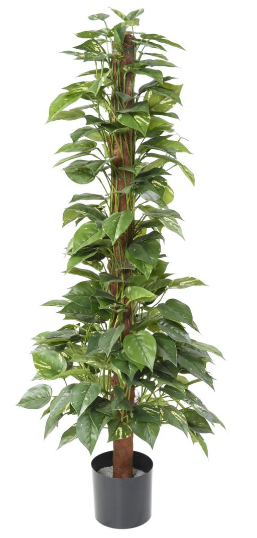 Paletto Per Pianta Artificiale Pothos 130 Cm Verde