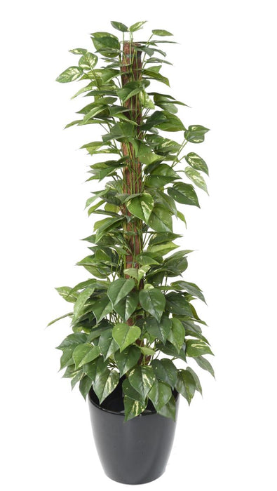 Paletto Per Pianta Artificiale Pothos 130 Cm Verde