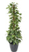 Paletto Per Pianta Artificiale Pothos 130 Cm Verde