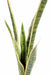 Pianta Artificiale Sansevieria 105Cm Indoor Verde Giallo