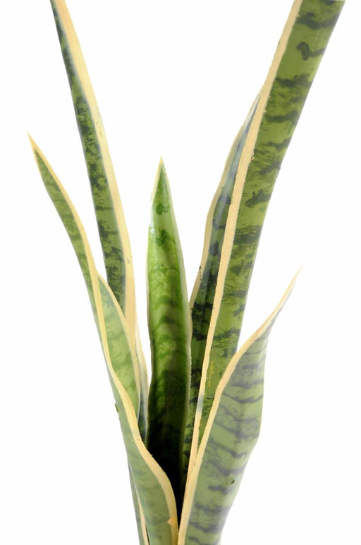 Pianta Artificiale Sansevieria 105Cm Indoor Verde Giallo