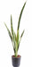 Pianta Artificiale Sansevieria 105Cm Indoor Verde Giallo