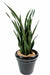 Pianta Artificiale Sansevieria 30 Foglie 110 Cm