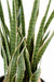 Pianta Artificiale Sansevieria 30 Foglie 110Cm