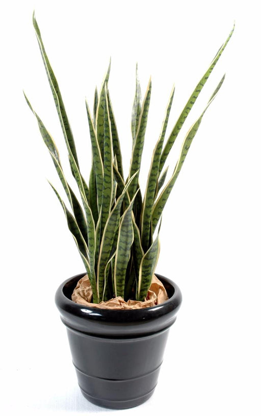 Pianta Artificiale Sansevieria 30 Foglie 110Cm