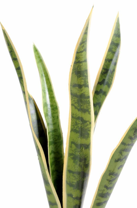 Pianta Artificiale Sansevieria 60Cm Decorazione Interni