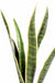 Pianta Artificiale Sansevieria 60Cm Decorazione Interni