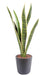 Pianta Artificiale Sansevieria 60Cm Decorazione Interni