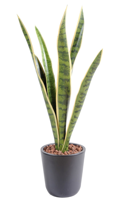 Pianta Artificiale Sansevieria 60Cm Decorazione Interni