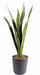 Pianta Artificiale Sansevieria 60Cm Per Interni