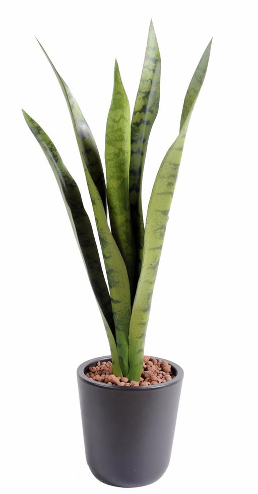 Pianta Artificiale Sansevieria 60Cm Per Interni