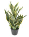 Pianta Artificiale Sansevieria 66Cm Decorazione Interni