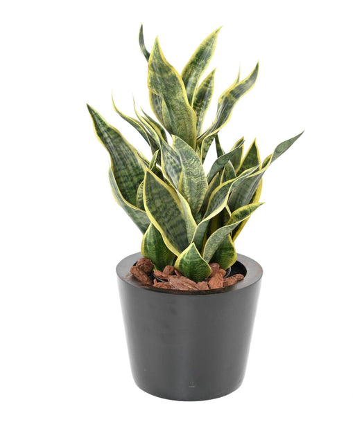 Pianta Artificiale Sansevieria 66Cm Decorazione Interni