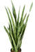 Pianta Artificiale Sansevieria 85 Cm Foglie Verdi
