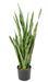 Pianta Artificiale Sansevieria 85 Cm Foglie Verdi