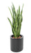 Pianta Artificiale Sansevieria 85 Cm Foglie Verdi