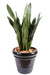 Pianta Artificiale Sansevieria 93 Cm Decorazione Interni