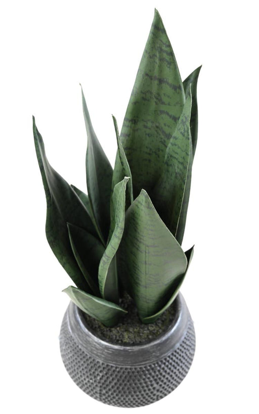 Pianta Sansevieria Artificiale Con Vaso 49Cm Verde