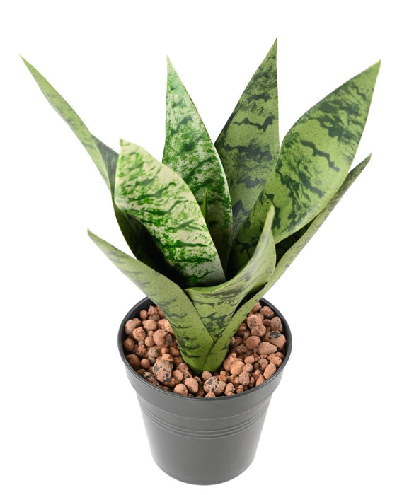 Pianta Artificiale Sansevieria Da Interno 35Cm Verde Chiaro
