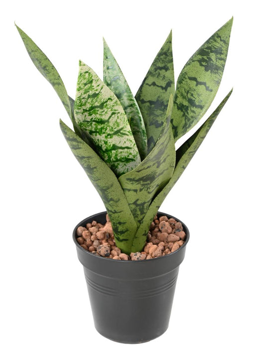 Pianta Artificiale Sansevieria Da Interno 35Cm Verde Chiaro
