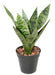 Pianta Artificiale Sansevieria Da Interno 35Cm Verde Chiaro