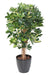 Pianta Artificiale Schefflera 110Cm Decorazione Interni