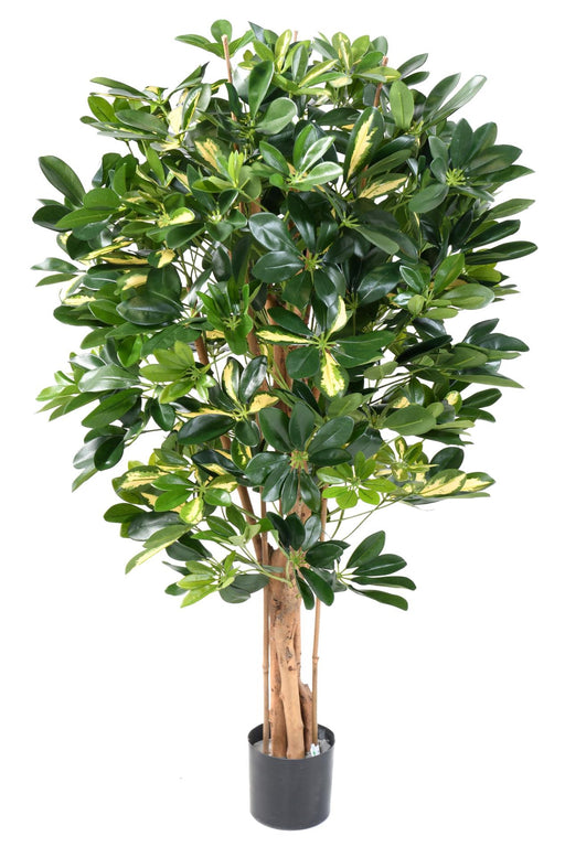 Pianta Artificiale Schefflera 110Cm Decorazione Interni