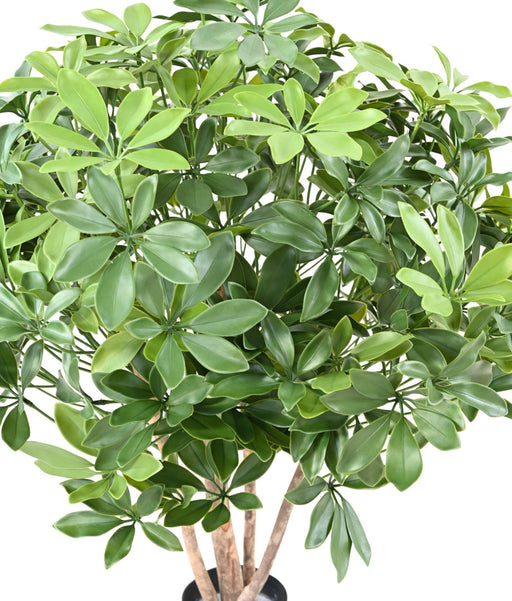 Pianta Artificiale Schefflera 90Cm Per Esterni