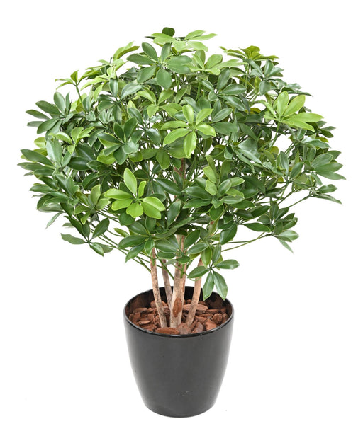 Pianta Artificiale Schefflera 90Cm Per Esterni
