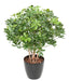 Pianta Artificiale Schefflera 90Cm Per Esterni