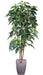 Pianta Artificiale Schefflera Amata 210 Cm Per Interni