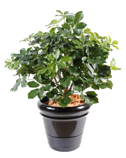 Pianta Artificiale Schefflera H.90Cm Per Decorazione