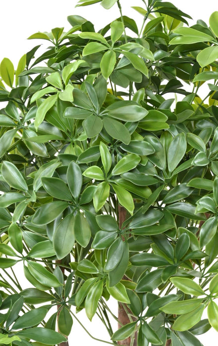 Pianta Artificiale Schefflera Uv Per Esterno 110Cm