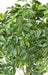 Pianta Artificiale Schefflera Uv Per Esterno 110Cm