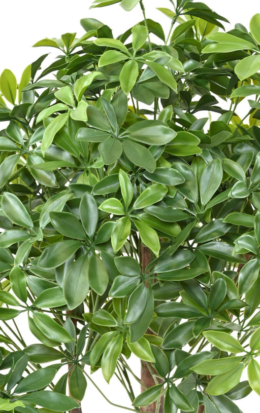 Pianta Artificiale Schefflera Uv Per Esterno 110Cm