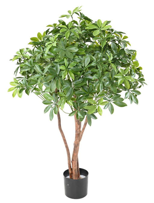 Pianta Artificiale Schefflera Uv Per Esterno 110Cm