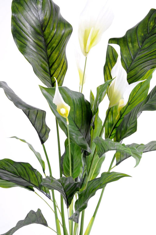 Pianta Artificiale Spathiphyllum 5 Fiori 80Cm