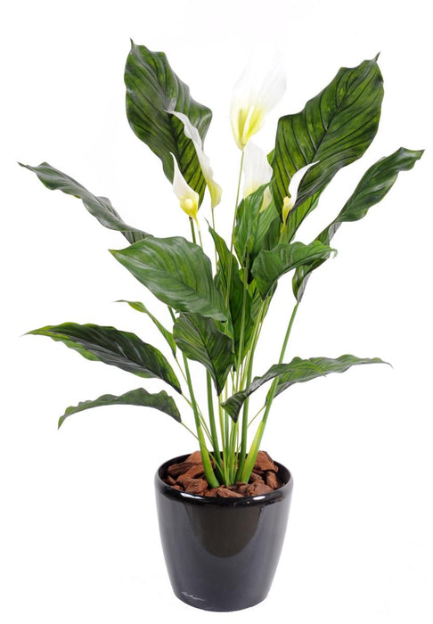 Pianta Artificiale Spathiphyllum 5 Fiori 80Cm