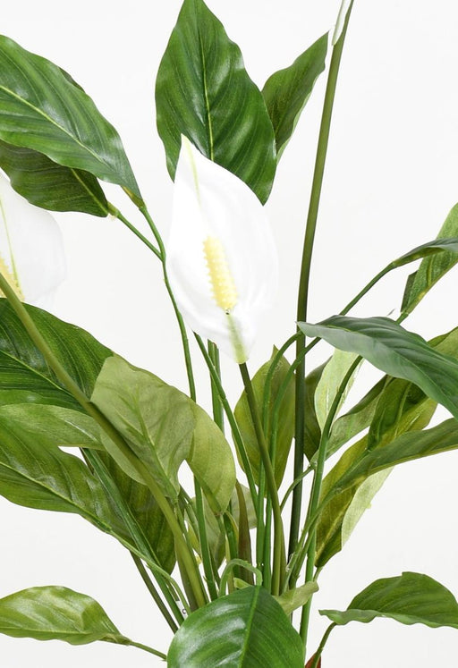 Pianta Artificiale Di Spathiphyllum Con Fiori Bianchi