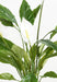 Pianta Artificiale Di Spathiphyllum Con Fiori Bianchi