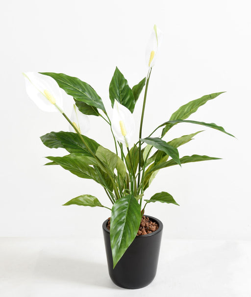 Pianta Artificiale Di Spathiphyllum Con Fiori Bianchi