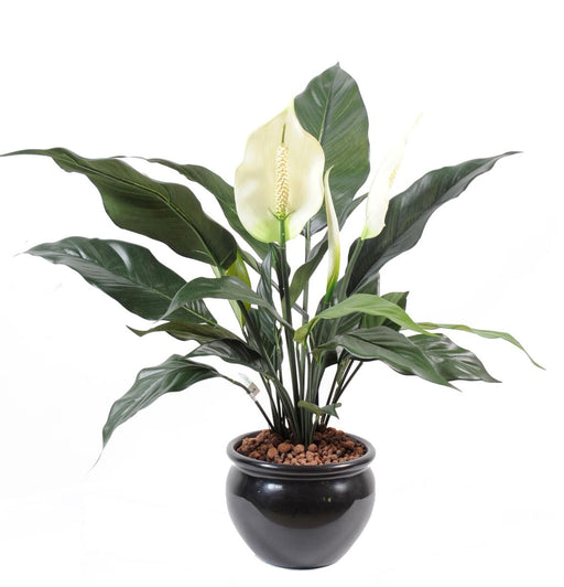 Pianta Spathiphyllum Artificiale In Vaso 53 Cm