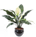 Pianta Spathiphyllum Artificiale In Vaso 53 Cm
