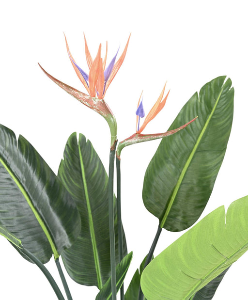 Pianta Artificiale Strelitzia 120 Cm Decorazione Interni