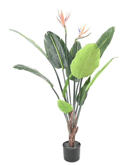 Pianta Artificiale Strelitzia 120 Cm Decorazione Interni