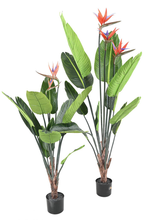 Pianta Artificiale Strelitzia 120 Cm Decorazione Interni