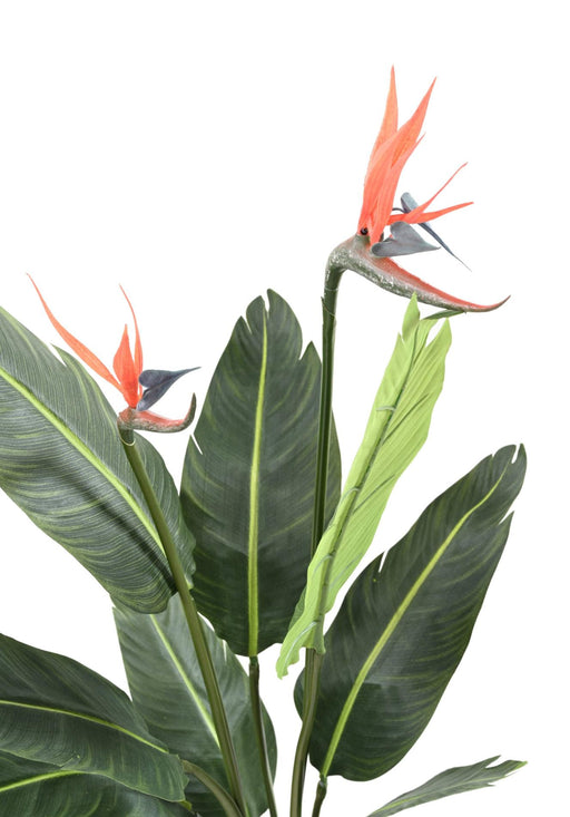 Pianta Strelitzia Artificiale 2 Fiori 95 Cm